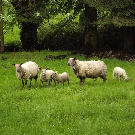 度假居 Maison Riviere Avec Terrasse, Wifi Et Jardin Fleuri - Ideal Pecheurs - Fr-1-410-168 *